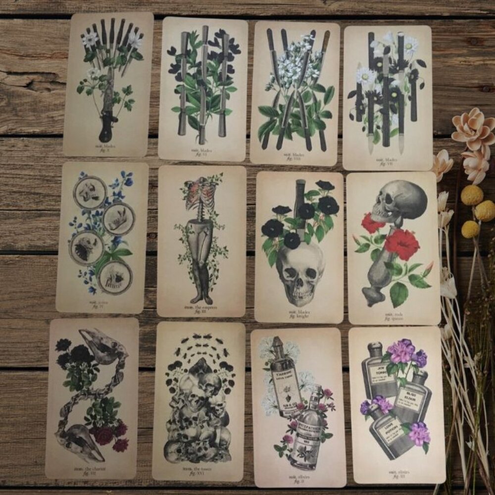 Antique Anatomy Tarot Deck | 78-Card Tarot with Guidebook | Gift Ready - Picture 7 of 16